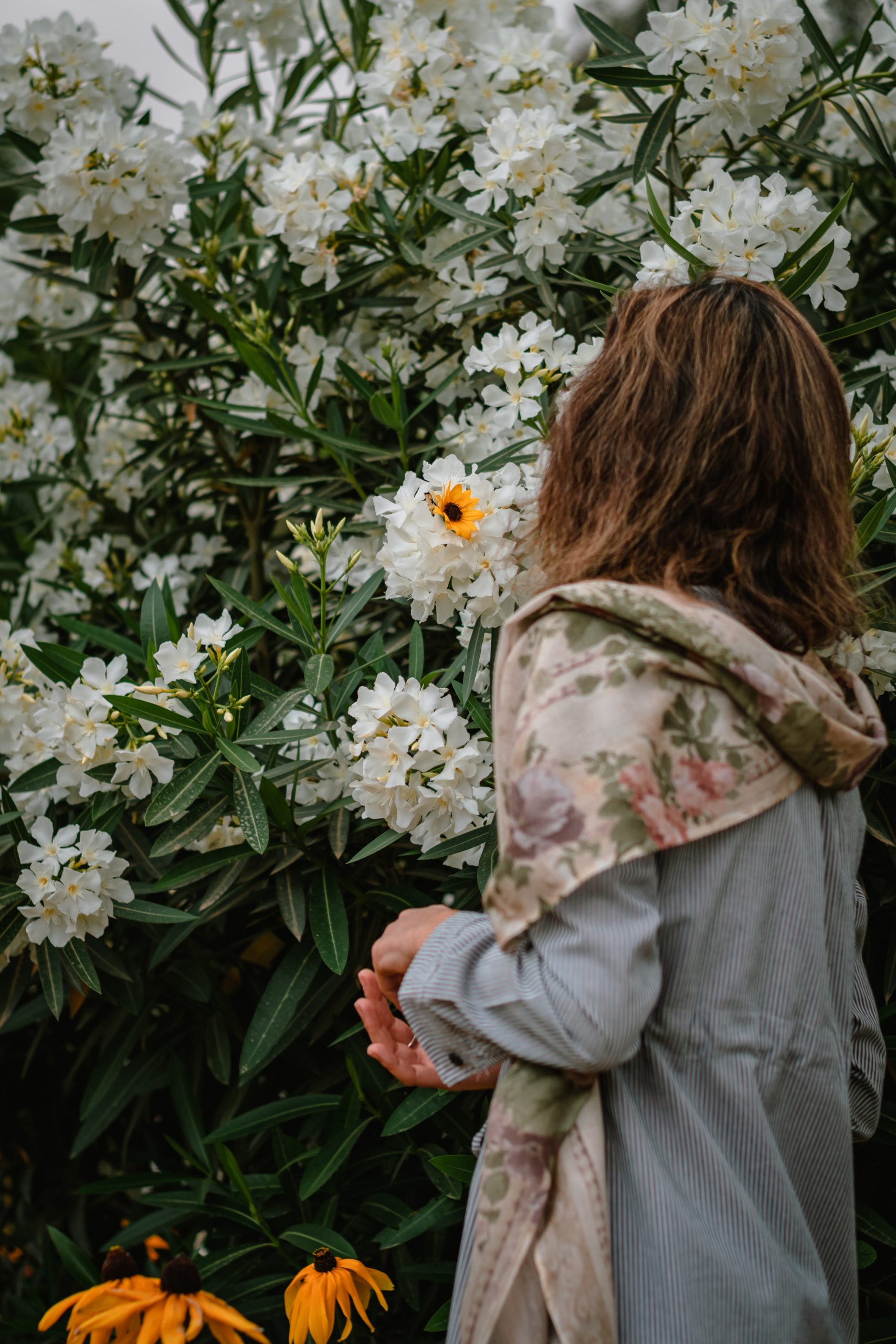 Photo of a woman standing by a flowery tree and looking away from the camera. This woman is representative of the many that struggle after giving birth. They can receive help from postpartum therapy in Los Angeles, CA. | 90404 | 90503
