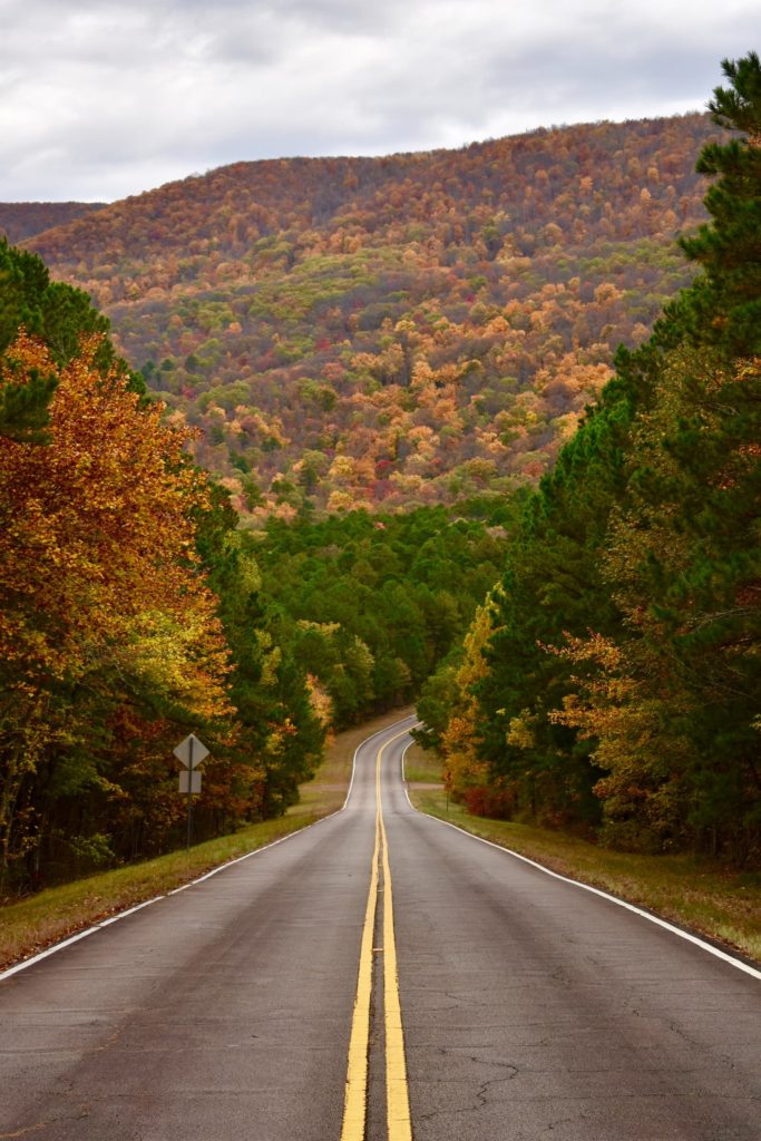 Photo of a long winding road through fall colored trees. This photo represents the journey one goes on during anxiety treatment in Los Angeles, CA. 91108 | 91006