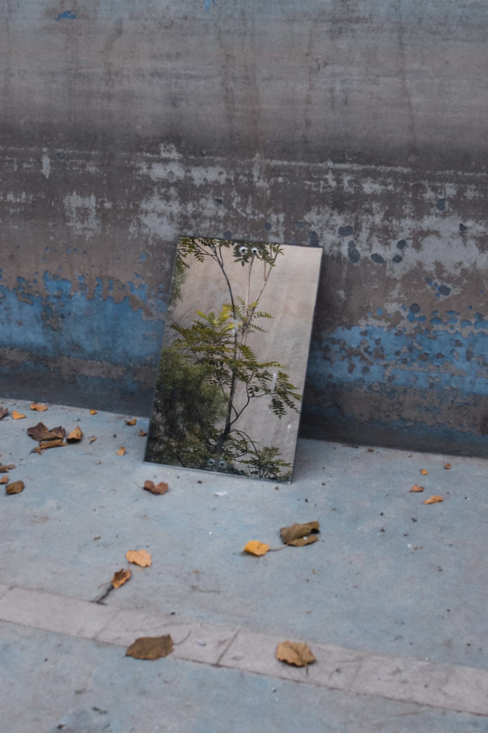 Photo of a mirror positioned on the ground against a wall. Seeking trauma therapy in Los Angeles, CA can help you feel more like yourself again. | 90071 | 90232
