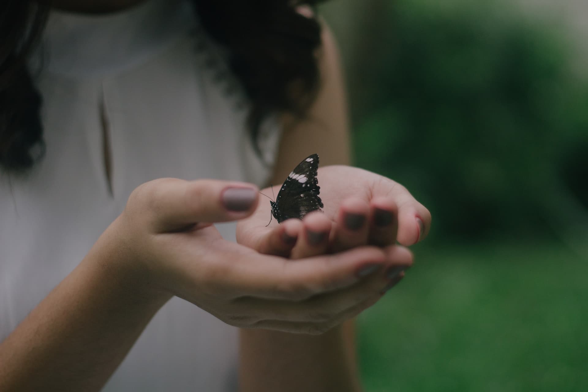 Image of two hands gently holding a black butterfly. This image represents the delicate nature of many teens who can find support from therapy for teens in Los Angeles, CA. Getting support from a teen therapist in Los Angeles, CA can help the whole family reconnect. | 90504 | 90505 |