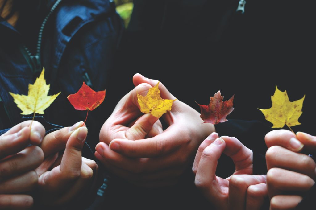 A close-up of people holding multicolor leaves in a row. Learn how a trauma therapist in los angeles, CA can offer support in addressing past collective trauma. They can offer trauma therapy in Los Angeles, CA and more.