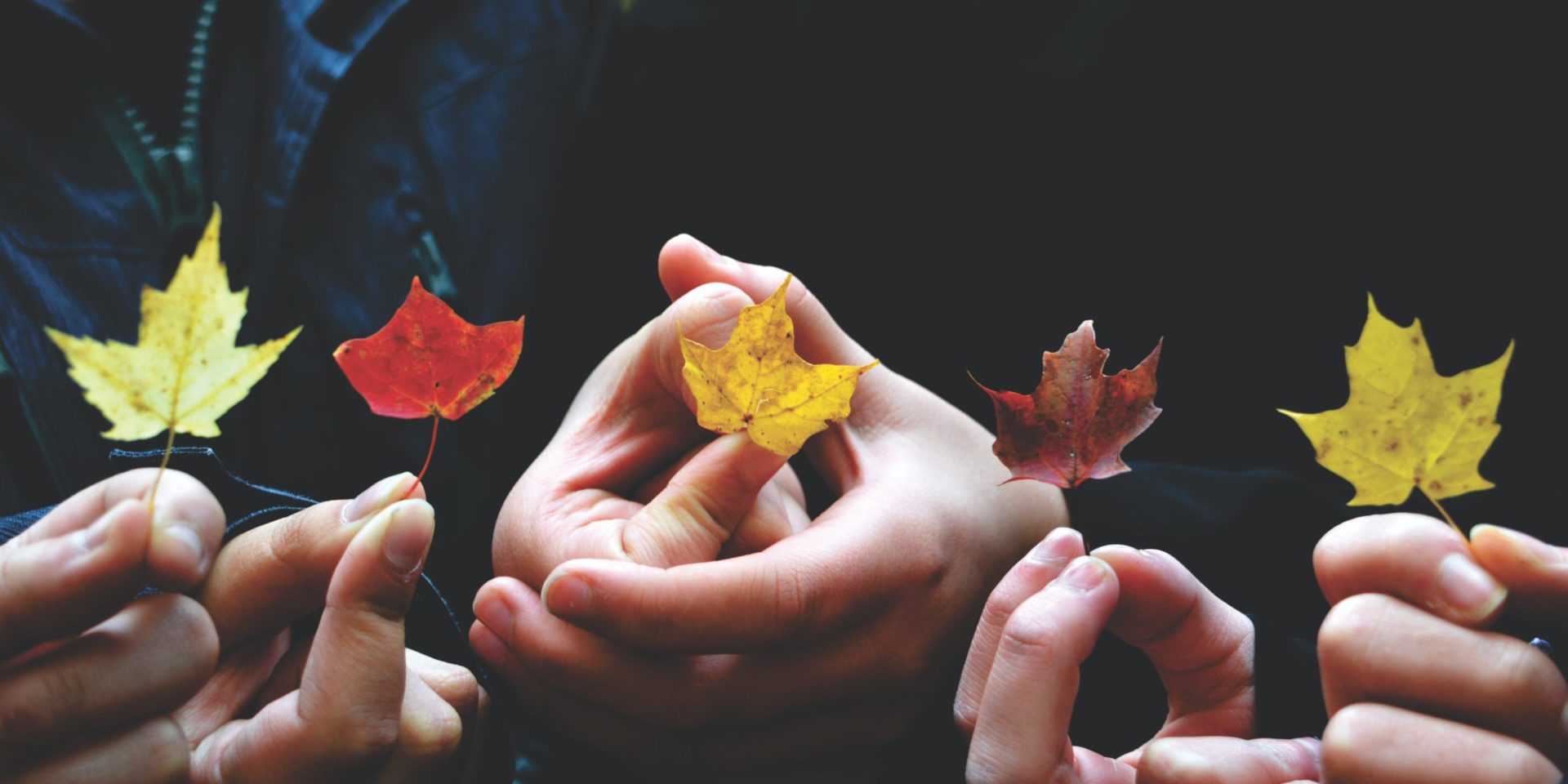 A close-up of people holding multicolor leaves in a row. Learn how a trauma therapist in los angeles, CA can offer support in addressing past collective trauma. They can offer trauma therapy in Los Angeles, CA and more.
