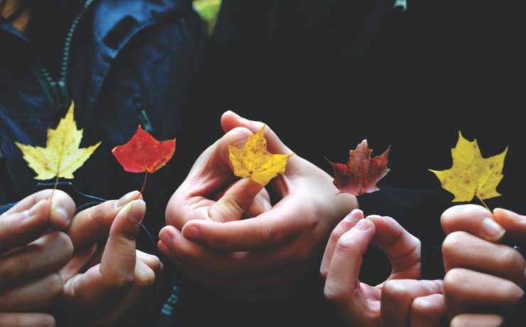 A close-up of people holding multicolor leaves in a row. Learn how a trauma therapist in los angeles, CA can offer support in addressing past collective trauma. They can offer trauma therapy in Los Angeles, CA and more.