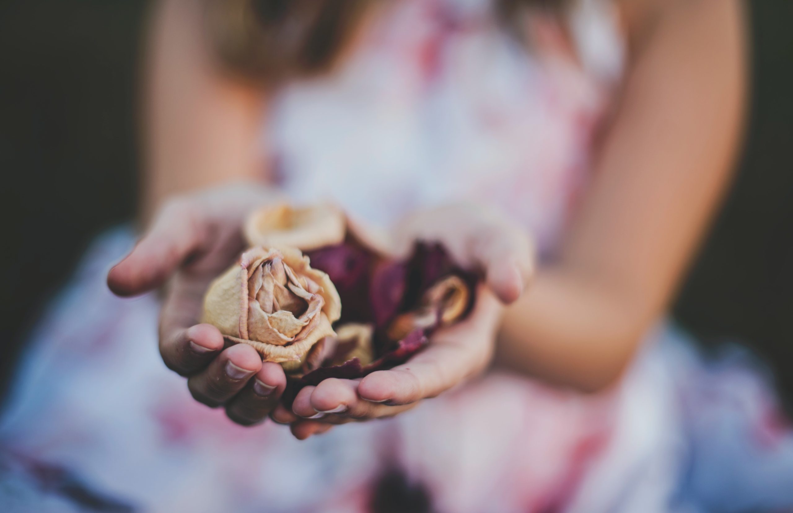 Close up photo of woman holding dried flowers in her hands. Everyone can feel by being supported by a Los Angeles based group therapy practice that specializes in Asian American mental health. An Asian American therapist in Los Angeles or New York can help with Asian American Therapy near you.