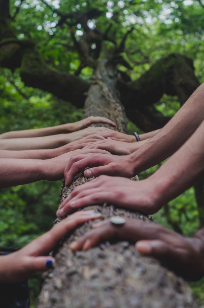 Photo of multiple hands laying on a tree trunk. Finding a therapist who understands your background is important. Learn how a culturally sensitive therapist in Los Angeles, CA can help you.