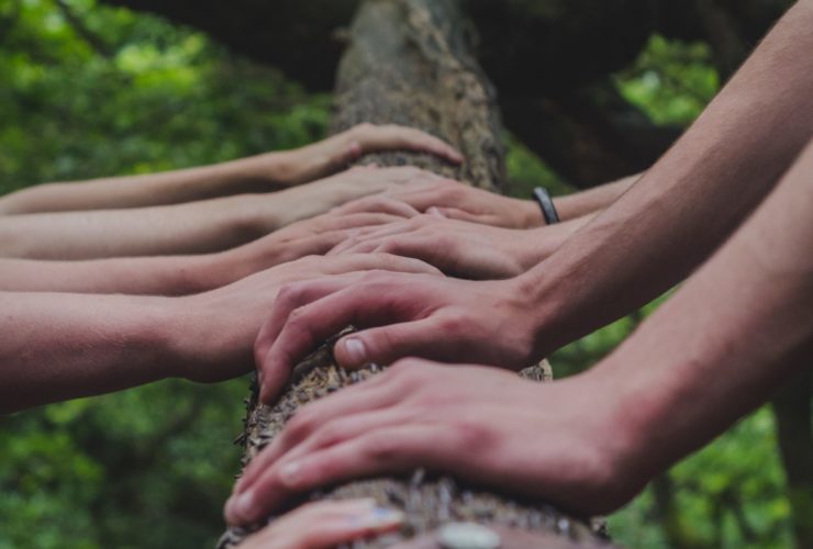 Photo of multiple hands laying on a tree trunk. Finding a therapist who understands your background is important. Learn how a culturally sensitive therapist in Los Angeles, CA can help you.