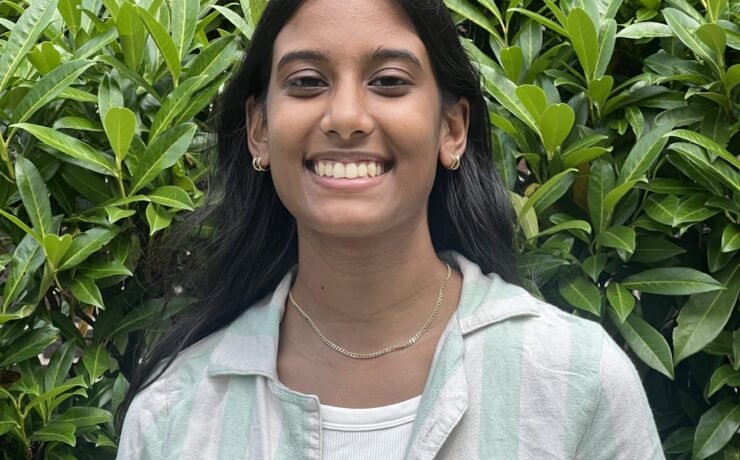 South Asian therapist in New York, South Asian therapist