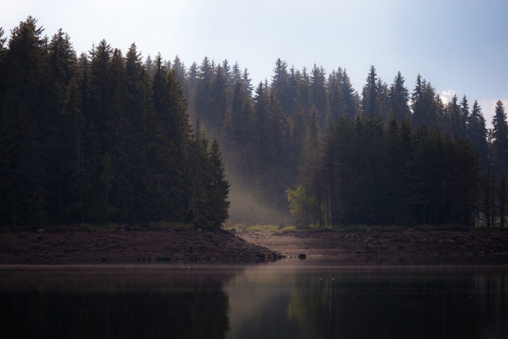A lake in the foreground, with a forest on the shore behind it. Learn about suicidal ideation from a therapist in Los Angeles, CA.