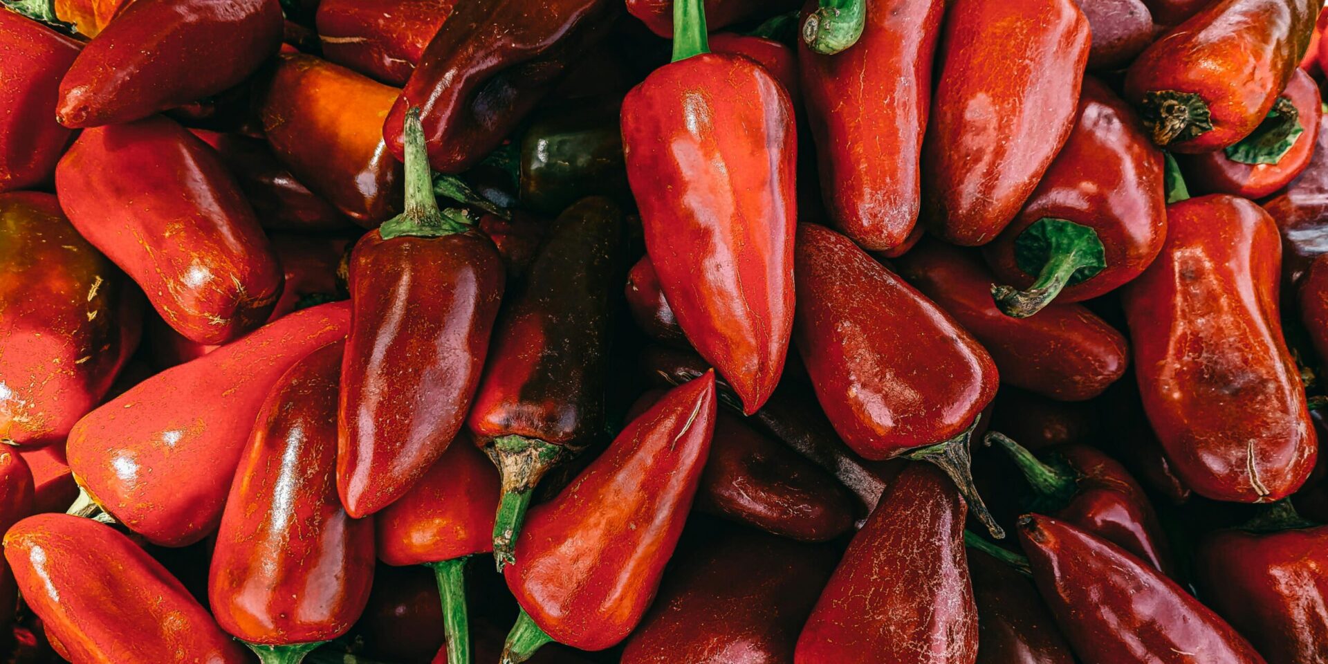 A close up of a pile of red peppers, representing strong emotions like anger. Learn how individual therapy in Los Angeles, CA can offer support with addressing emotions. Search for an Asian therapist in Los Angeles, CA and how online anxiety treatment in California can help today.