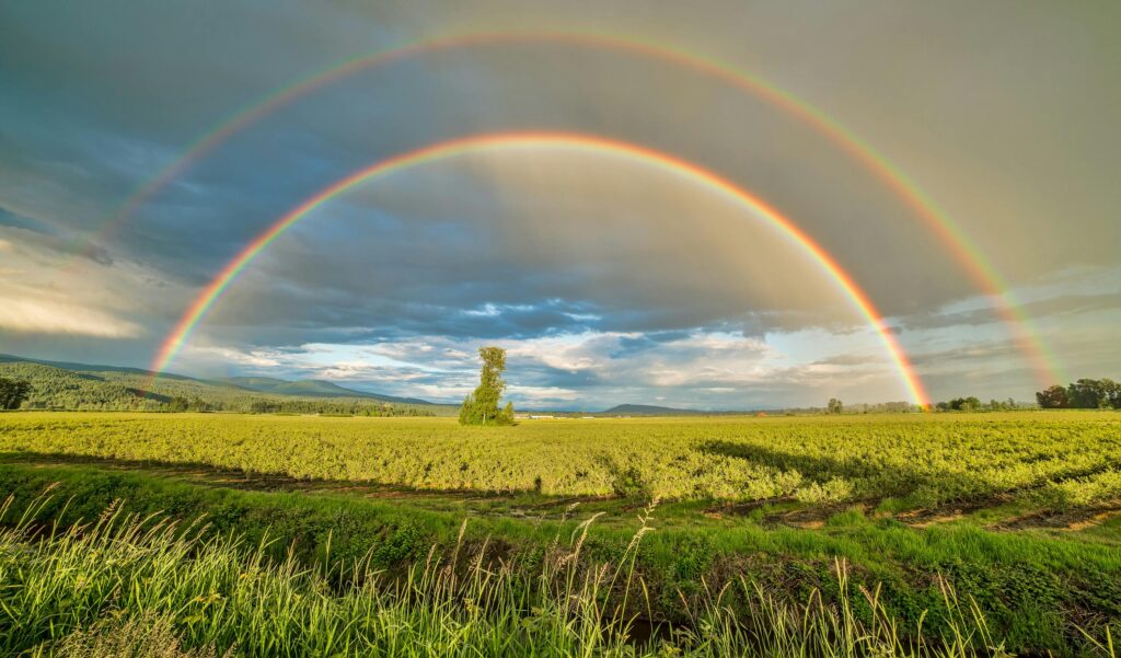 An image of a field with a double rainbow spanning the sky. This could symbolize overcoming past trauma with an Asian American therapist in Los Angeles. Learn more about Asian American therapy and how trauma therapy in Los Angeles, CA can help you cope today.