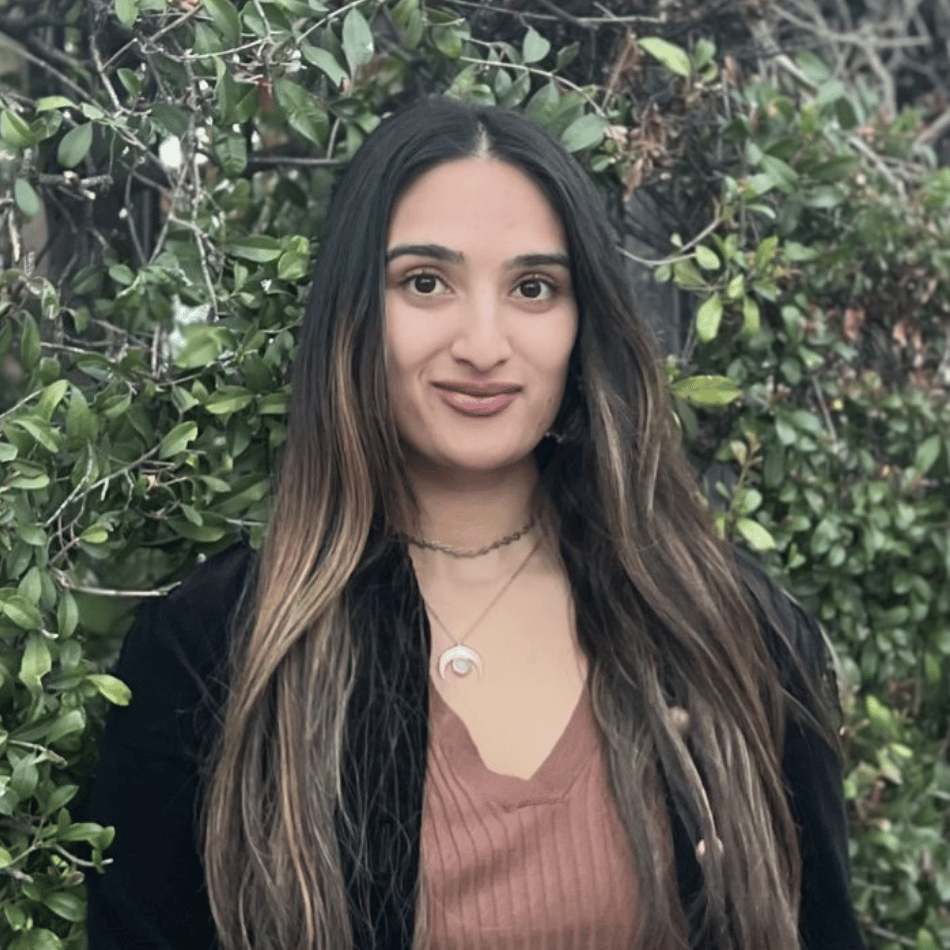 ifs therapist los angeles