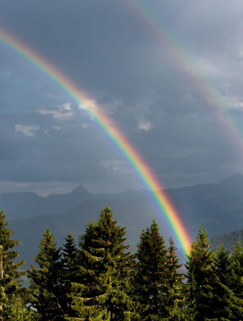 A rainbow is pictured above a forest of trees against a dark gray sky.